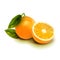 Realistic vector orange fruit isolate. Orange with leaves isolated on white.