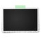 Realistic vector photo frame with retro figured edges on sticky tape placed horizontally on white. Template photo design