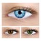 Realistic vector set of human female eyes close-up.