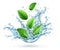 Realistic vector water splash with green peppermint leaves falling down. Illustration.