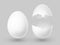 Realistic vector white eggs with whole and broken shell isolated