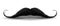 Realistic Vintage Black curly mustache. Illustration isolated on a white background.