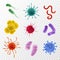 Realistic viruses. Types and microorganism colorful shapes. Bacteria, germs and bacillus flu and covid-19. Biological