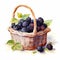 Realistic Watercolor Blackberry Basket Illustration