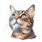 Realistic Watercolor Cat Face Illustration