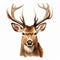 Realistic Watercolor Deer Head Illustration - Lifelike And Detailed Hunting Scenes