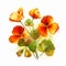 Realistic Watercolor Flower Illustration: Orange And Green Pansy Bouquet