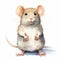 Realistic Watercolor Illustration Of A Cute Rat