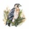 Realistic Watercolor Illustration Of Falcons On Pine Tree Background