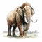 Realistic Watercolor Illustration Of A Majestic Mammoth