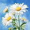 Realistic Watercolor Illustration Of Shasta Daisy Sitting On An Umbrella