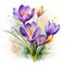Realistic Watercolor Painting Of Purple, Yellow, And Orange Crocus Flowers