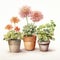 Realistic Watercolor Paintings Of Plants In Different Pots