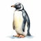 Realistic Watercolor Penguin Illustration On White Background