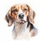 Realistic Watercolor Portrait Of Beagle On White Background