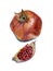 Realistic watercolor sketch of the pomegranate, separate the slice