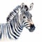 Realistic Watercolor Zebra Illustration On White Background