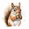 Realistic Watercolour Camel Squirrel Eating Nut On White Background