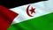 Realistic Western Sahara flag