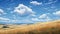Realistic And Whimsical Anime Painting Of Untouched Wheat Field With Detailed Background