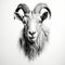 Realistic White Goat Head Tattoo Drawing With High Contrast