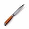 Realistic Wood-handled Knife On White Background