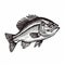 Realistic Woodcut Bass Fishing Sketch In The Style Of Paula Scher