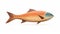 Realistic Wooden Fish Illustration On White Background