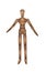 Realistic wooden marionette isolated on the white background,