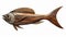 Realistic Wooden Wall Art Fish Sculpture Stock Image