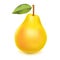 Realistic yellow pear with leaf.