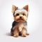 Realistic Yorkshire Terrier Puppy In 3d Style - White Background