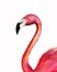 Realistik pink flamingo. Hand drawn watercolor illustration isolated on white background. Exotic tropical bird.For T-shirt print,