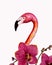 Realistik pink flamingo with orchid branch. Hand drawn watercolor illustration isolated on white background. Exotic tropical bird.