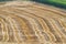 Reaped wheat fields in La Noguera