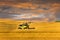 Reaping machine or harvester combine on a wheat field with a very dynamic sky