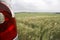 Rear light in cornfield - landscape