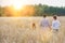Rear photograph of a loving young family walking through a corn field during summer holding hands