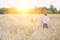 Rear photograph of a loving young family walking through a wheat field during summer holding hands