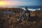 Rear portrait of a relaxed male traveler sitting on the rocky cliff and enjoying the view of Atlantic ocean at sunset