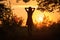 Rear silhouette view of young happy woman standing alone in dark woods with raised up hands enjoying summer evening