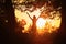 Rear silhouette view of young happy woman standing alone in dark woods with raised up hands enjoying summer evening