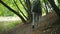 Rear view of an active elderly couple following their route in the forest