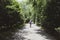 Rear view of active senior man riding bicycle along forest road on summer day - Senior athletic man cyclist riding bike on the