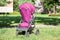 Rear view of baby pushchair folded in seated position on green meadow in summer sunny park, an infant perambulator series