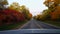 Rear view from back of car driving rural countryside road during autumn day. Car point of view POV behind vehicle country street