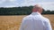 Rear view of bald man going in the golden wheat field. Medium shot.