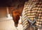 A rear view of a bay horse dressed in a checkered yellow blanket, which a horse breeder holds by the bridle reins. Equestrian