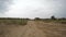 Rear view of car driving along a rural dirt road