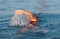 Rear view of close up of swimmer splashing in a pool